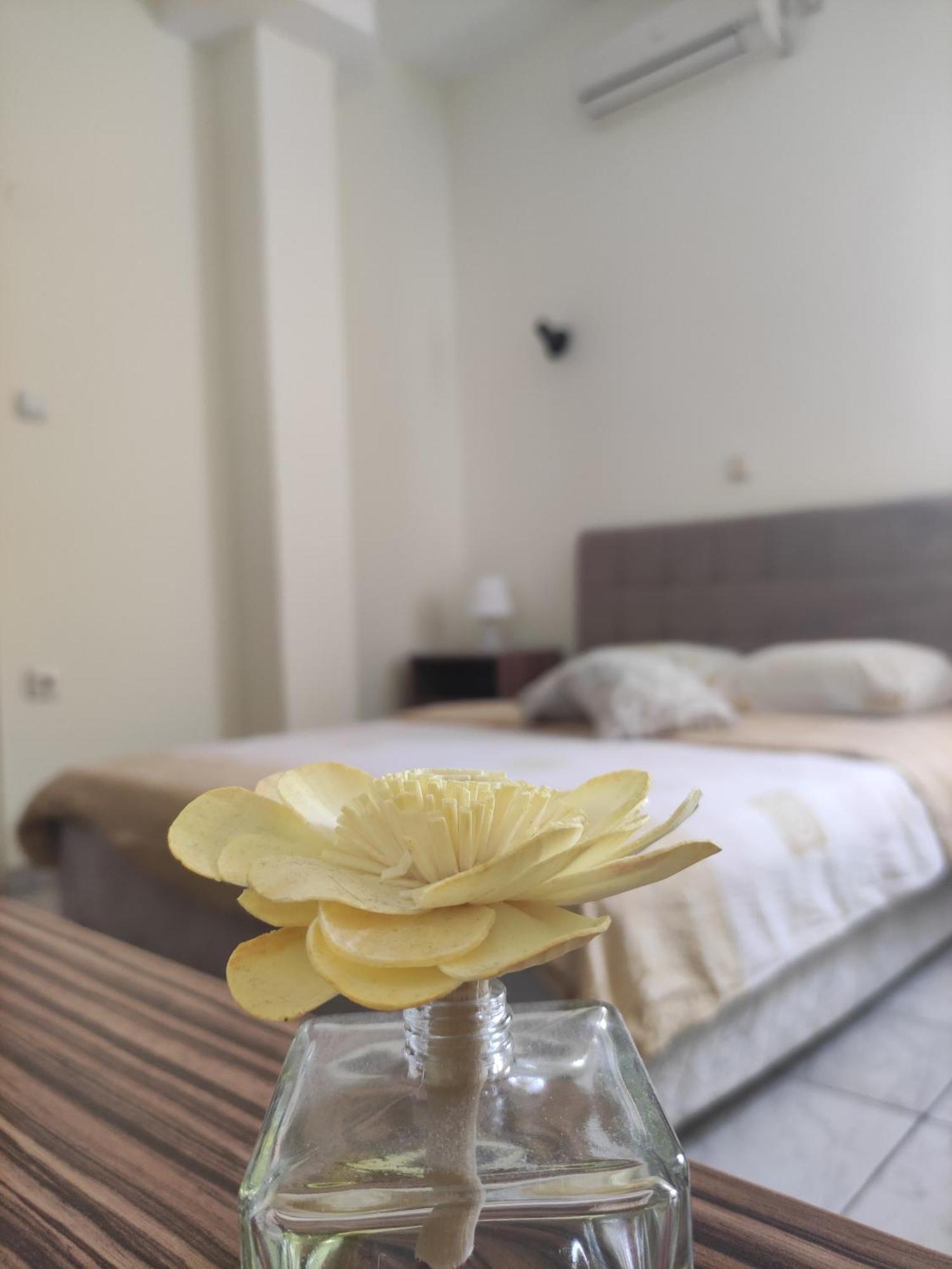 B&B Bebinac Leskovac  Eksteriør bilde